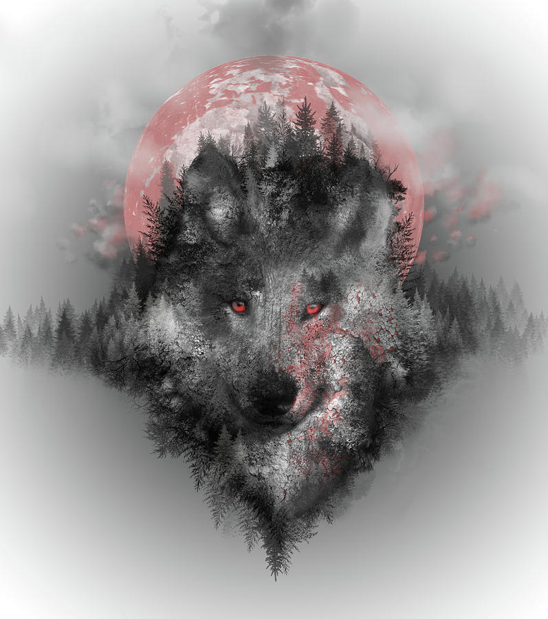 Wolves Digital Art - Wolf by Bekim M
