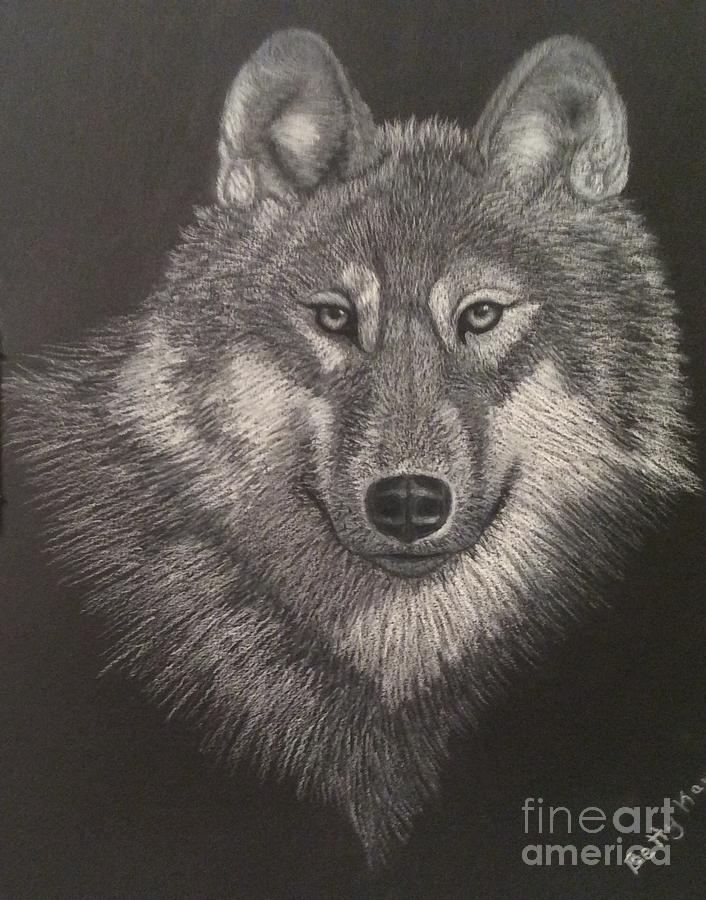 Wolf Drawing by Betty Kaye
