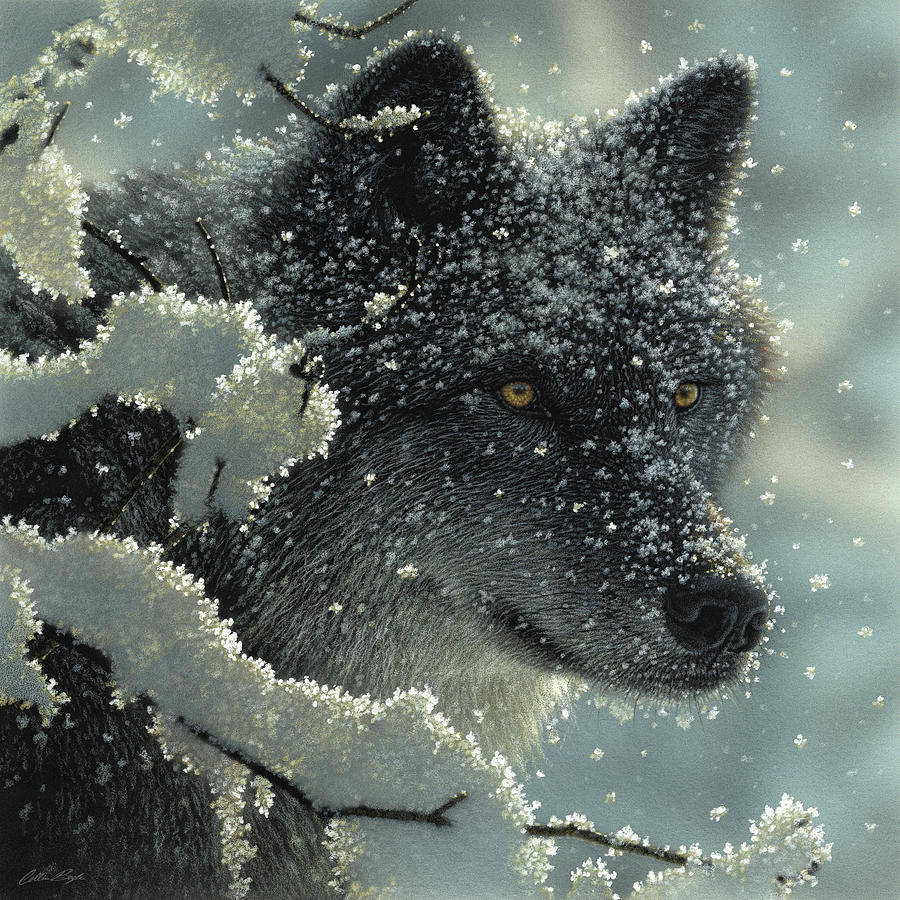 Wolf - Black in White Painting by Collin Bogle