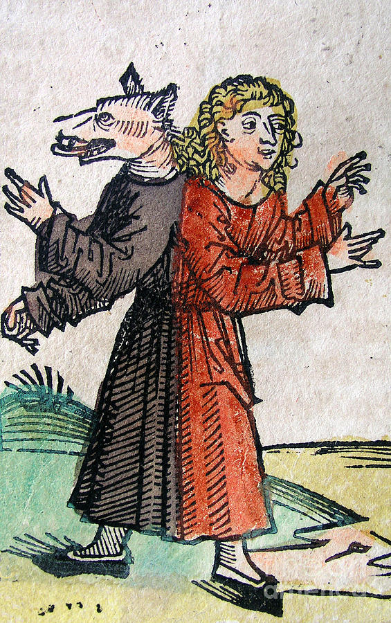 Wolf Boy, Nuremberg Chronicle, 1493 Photograph by Science Source