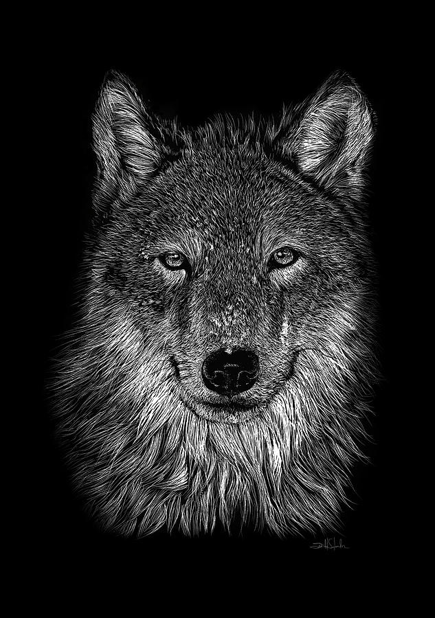 Wolf by Isabel salvador Drawing by Isabel Salvador