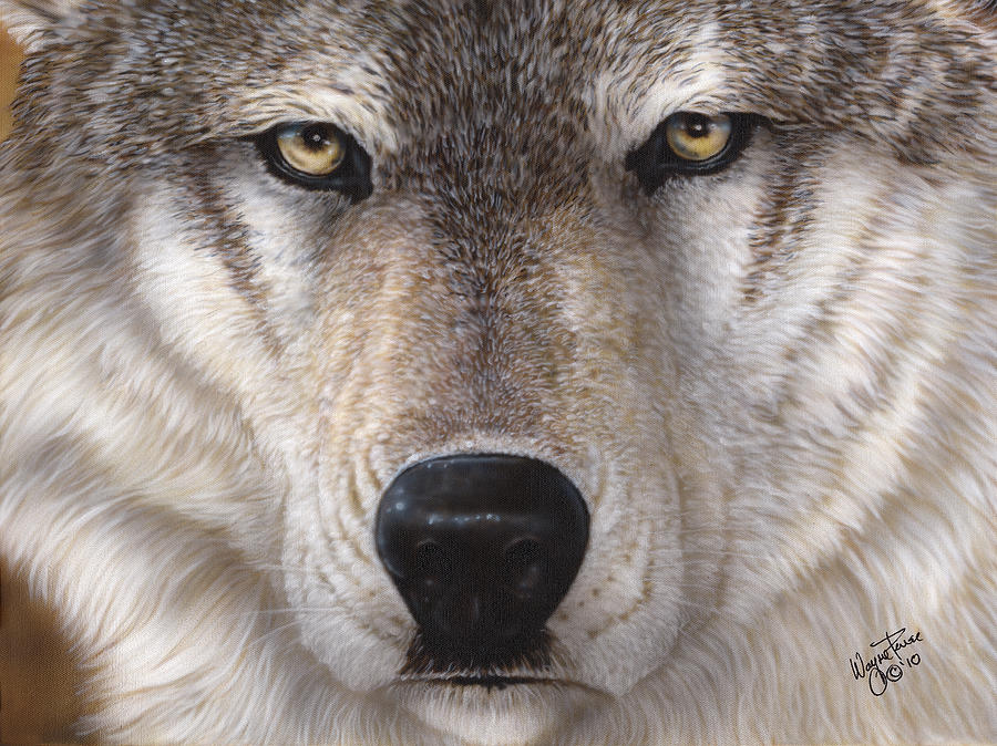 Wolf Closeup Painting by Wayne Pruse