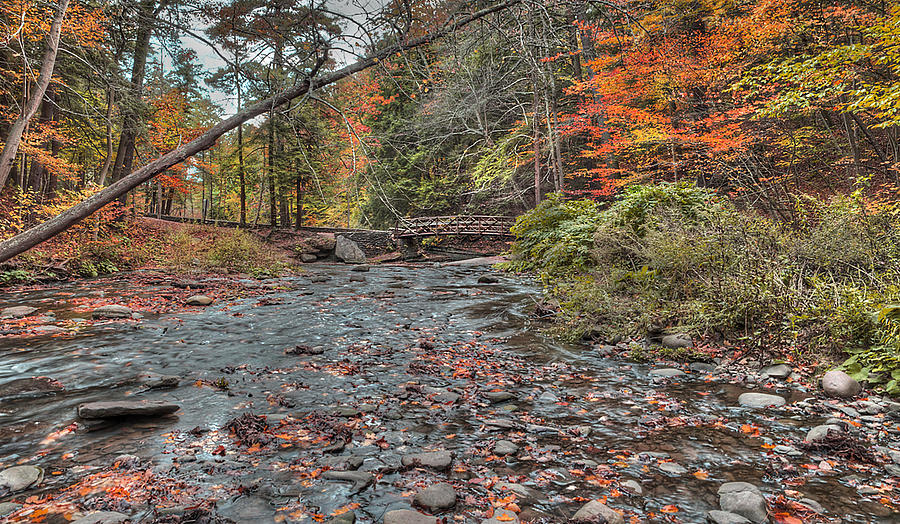 Wolf Creek at Letchworth State Park, NY Photograph by Joe Granita