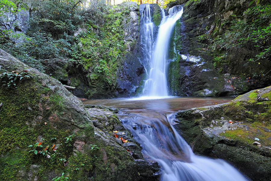 Waterfall Photograph - Wolf Creek Falls by Alan Lenk