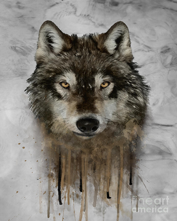 Wolf Drip Painting Photograph