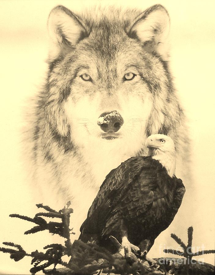 The Eagle and the Wolves