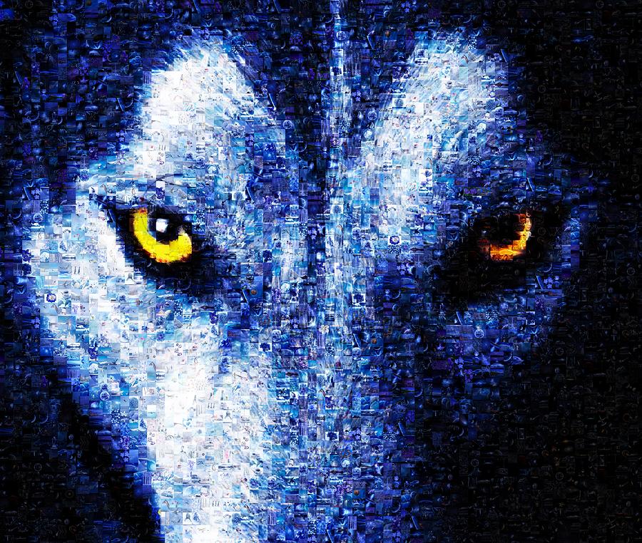 Animal Photograph - Wolf eyes by James Jones