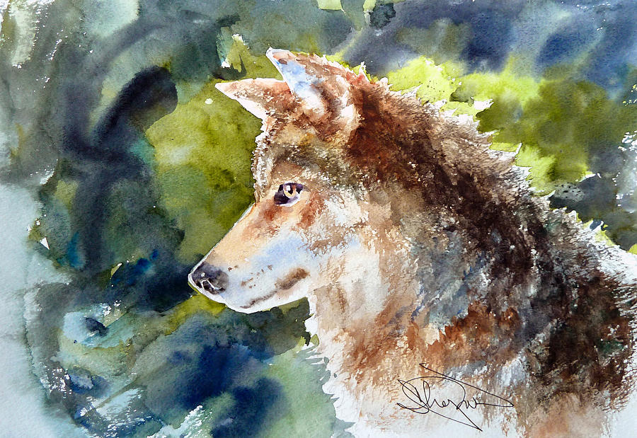 Wolf Drawing - Wolf by H Lee Shapiro Wolf Drawing - Wolf by H Lee Shapiro