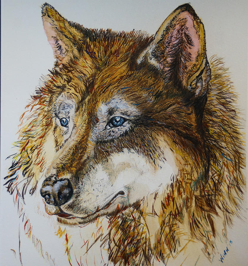 Wolf Head Painting by Penny Winn