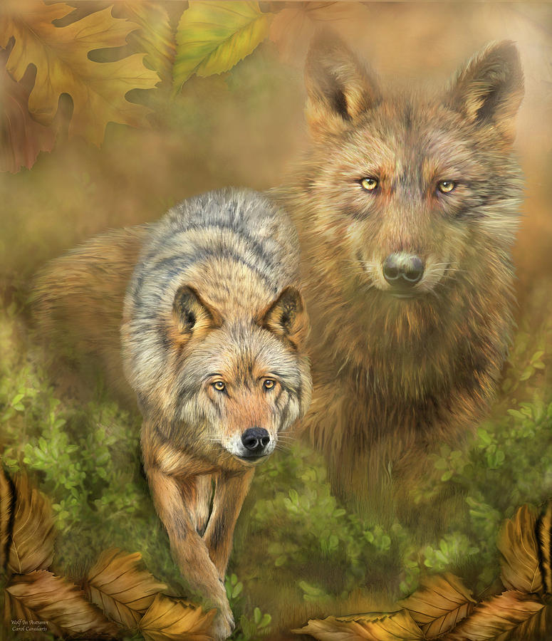 Carol Cavalaris Mixed Media - Wolf In Autumn by Carol Cavalaris