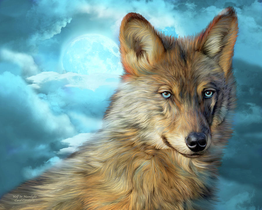 Wolf In Moonlight 2 Mixed Media by Carol Cavalaris
