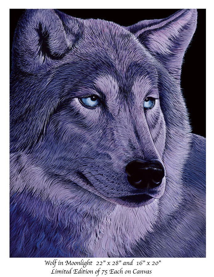 Wolf in Moonlight Painting by Patrick ORourke | Fine Art America