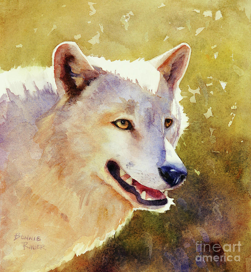 Wolf in Morning Light Painting by Bonnie Rinier