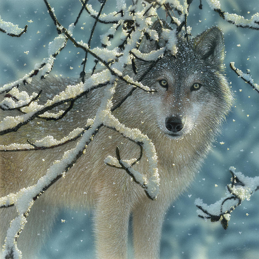 Wolves Painting - Wolf in Snow - Broken Silence by Collin Bogle
