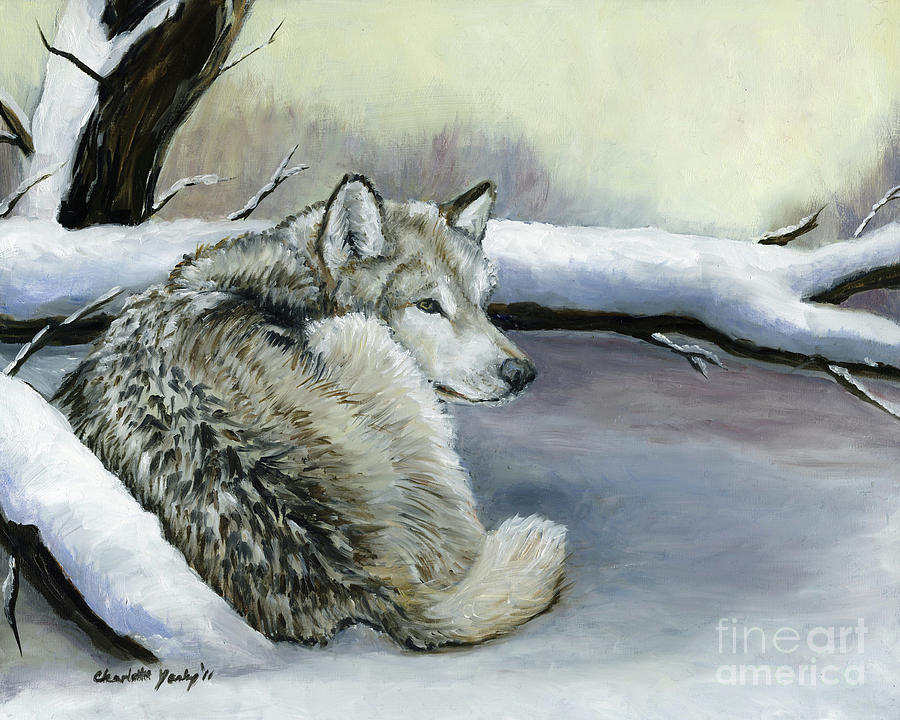 Wolf in the snow Painting by Charlotte Yealey