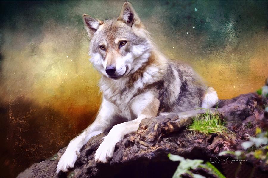 Wolf Digital Art by Looking Glass Images