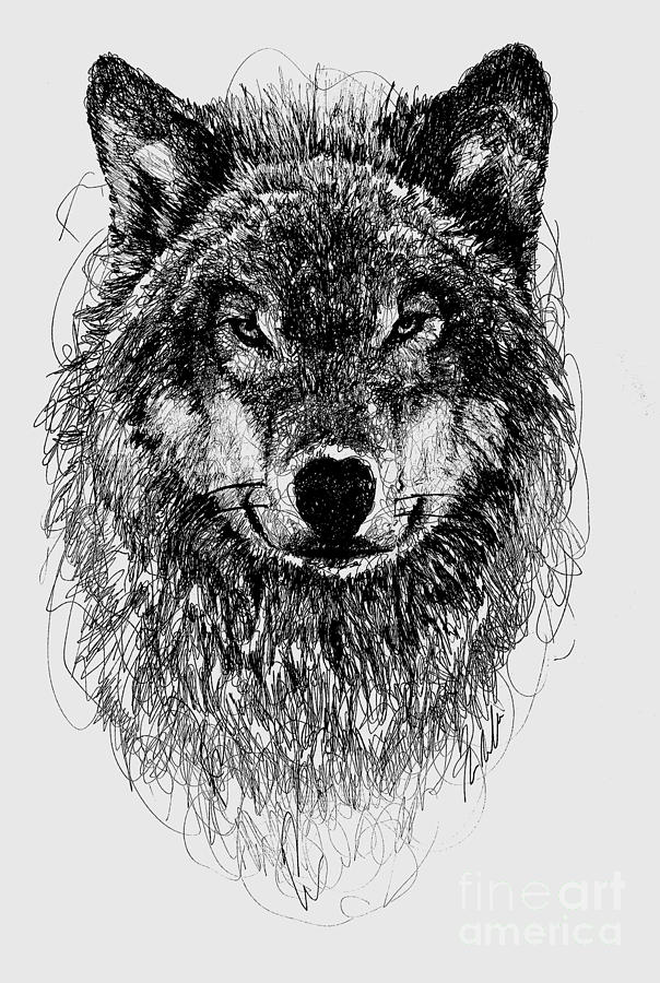 Wolf Digital Art by Michael Volpicelli