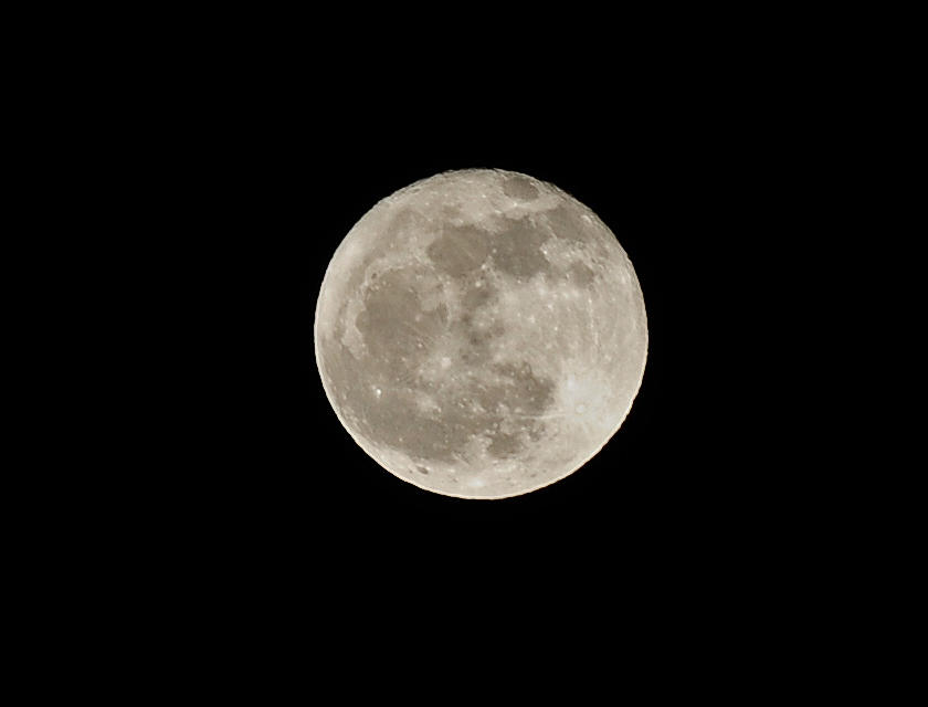 Wolf Moon Photograph by Lara Ellis