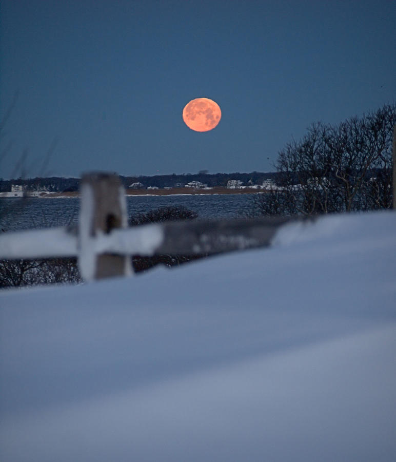 Wolf Moon Photograph by  Newwwman