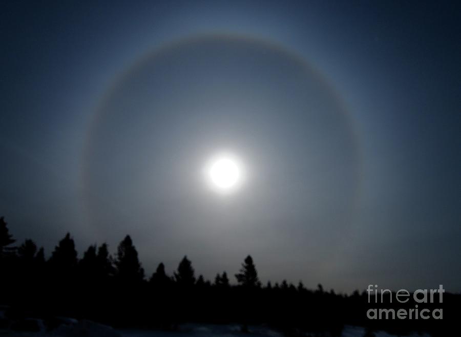 Wolf Moon Photograph by Sandra Updyke