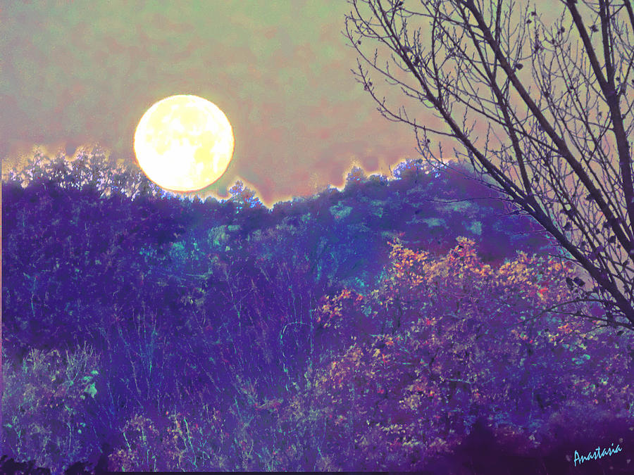 Wolf Moonset El Valle New Mexico Digital Art by Anastasia Savage Ealy
