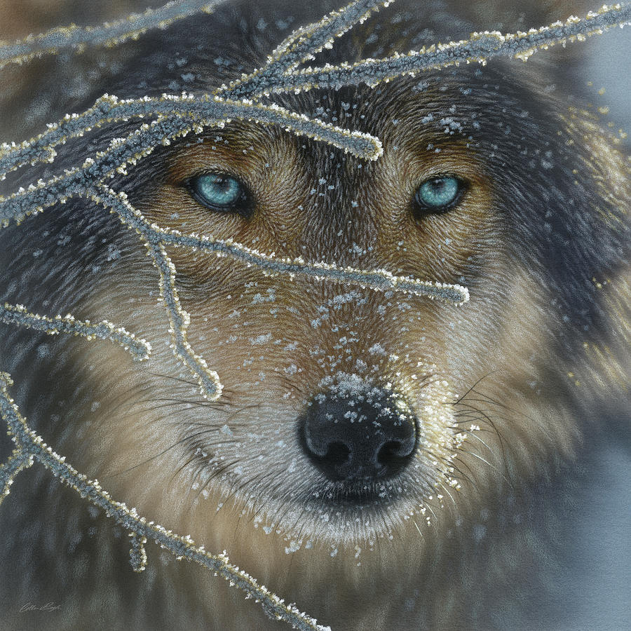 Wolves Painting - Wolf Portrait - Fire in Ice by Collin Bogle