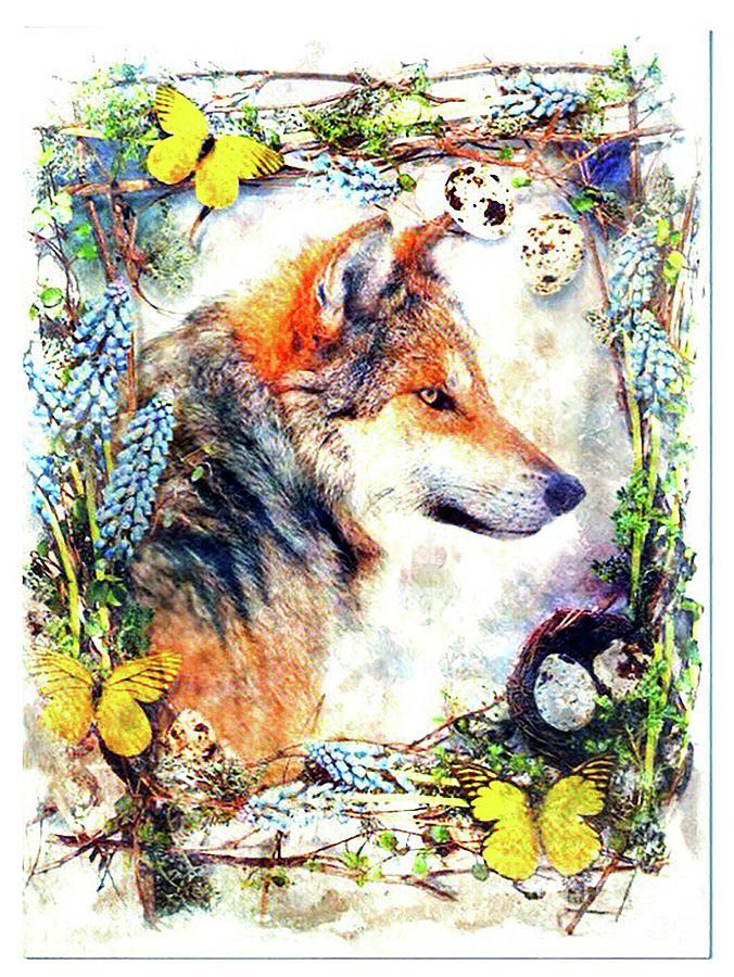 Wolf Portrait Digital Art by Kathy Kelly