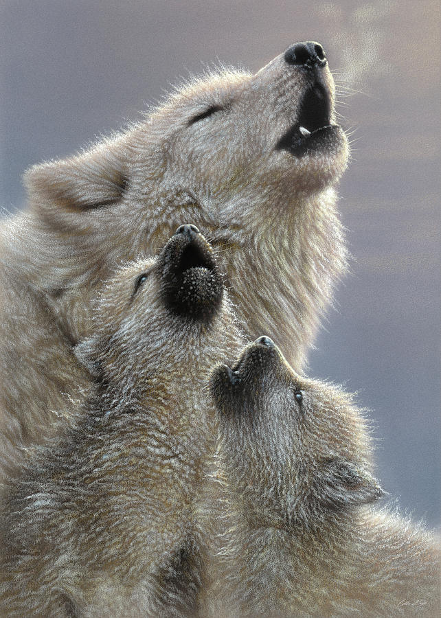 Wolf Pups Howling - Singing Lesson Painting by Collin Bogle