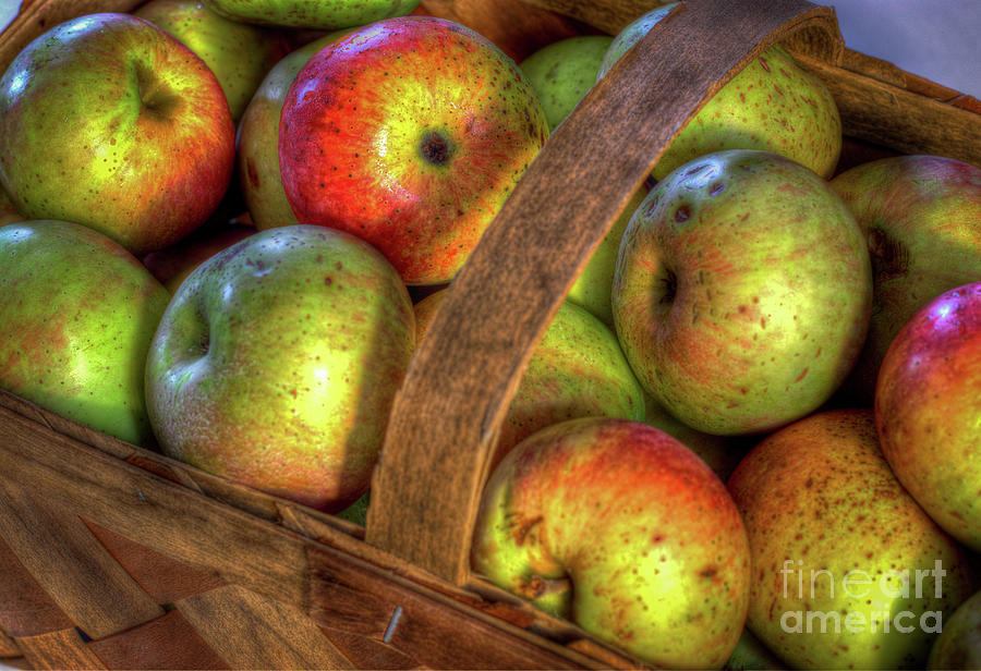 Wolf River Apples Photograph by Douglas Stucky
