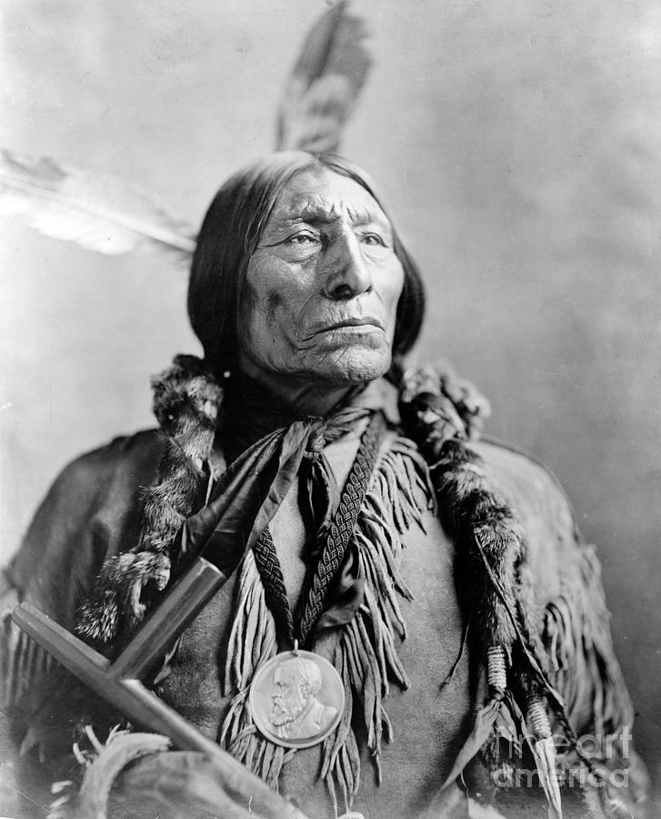 Wolf Robe, Cheyenne Indian Chief Photograph by Science Source