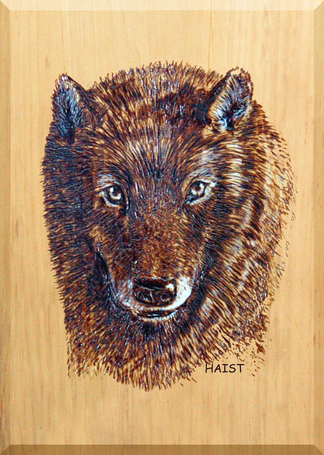 Wolf Pyrography by Ron Haist