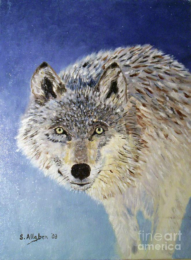 Wolf Study by Stanton Allaben Wolf Study by Stanton Allaben