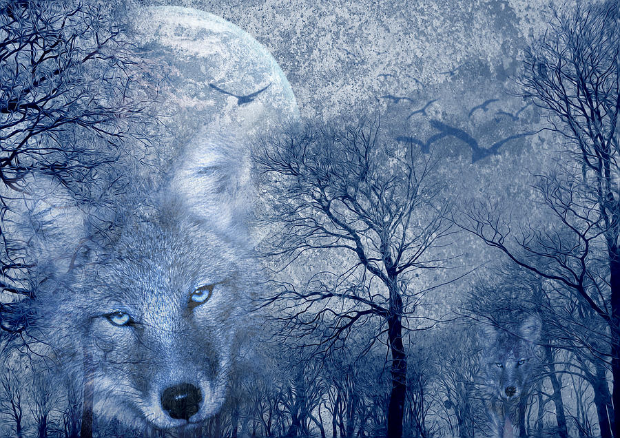 Nature Digital Art - Wolf by Svetlana Sewell