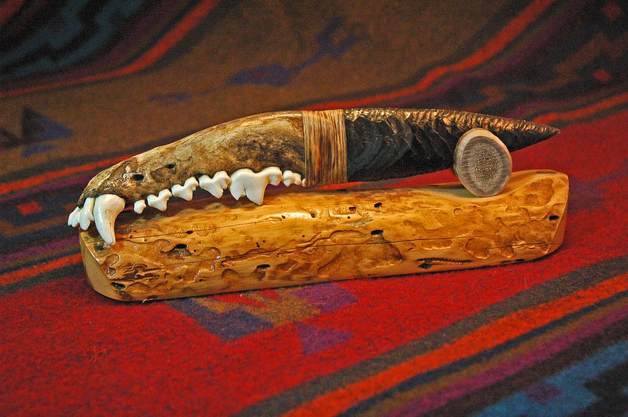 Wolf Teeth Knife Photograph by Ginger Wakem