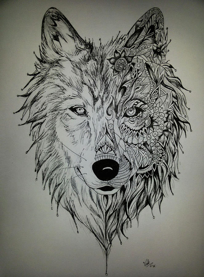 Wolf Drawing by Valeria Martinez Villablanca - Fine Art America