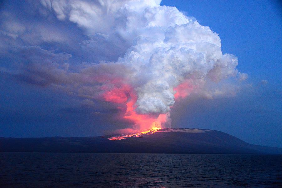 Wolf Volcano Photograph by Diego Paredes - Fine Art America