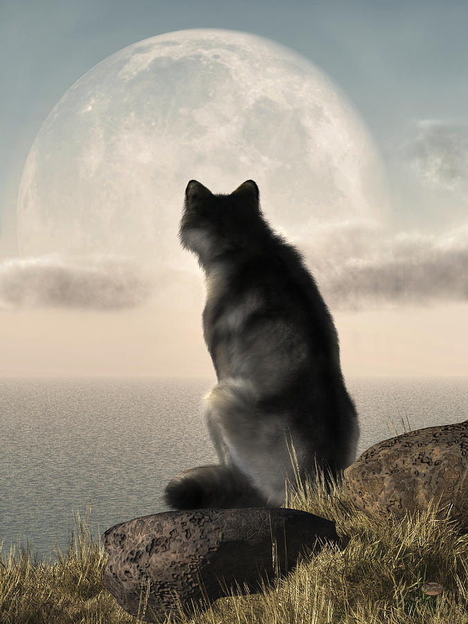 Wolves Digital Art - Wolf Watching The Moonrise by Daniel Eskridge