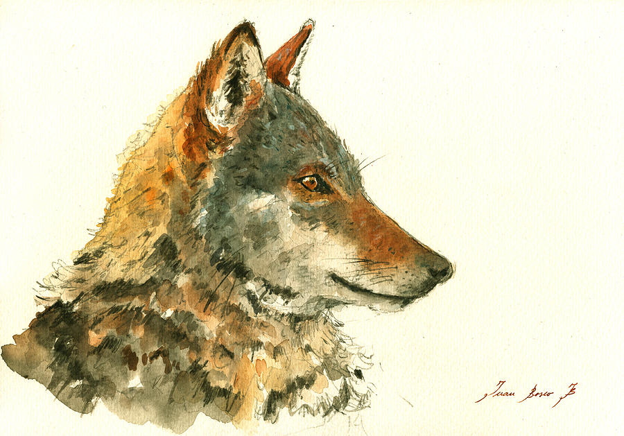 Wolves Painting - Wolf watercolor by Juan  Bosco