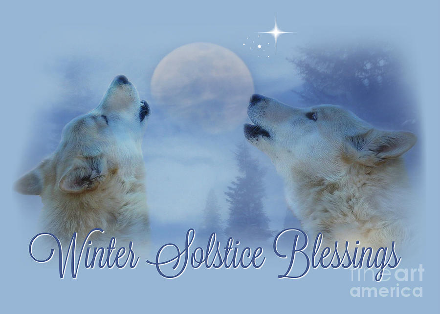 Wolves Photograph - Wolf Winter Solstice Blessings by Stephanie Laird