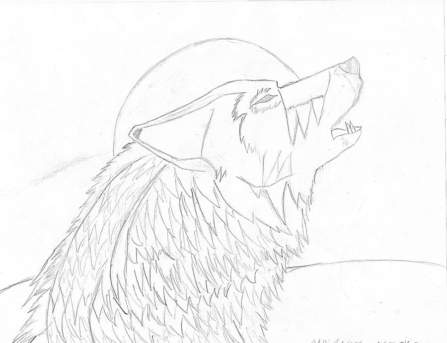 Wolf's howl Drawing by Alexander Cisneros - Fine Art America