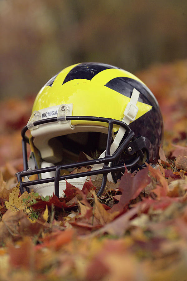 Wolverine Helmet In October Leaves Photograph By Michigan Helmet Pixels