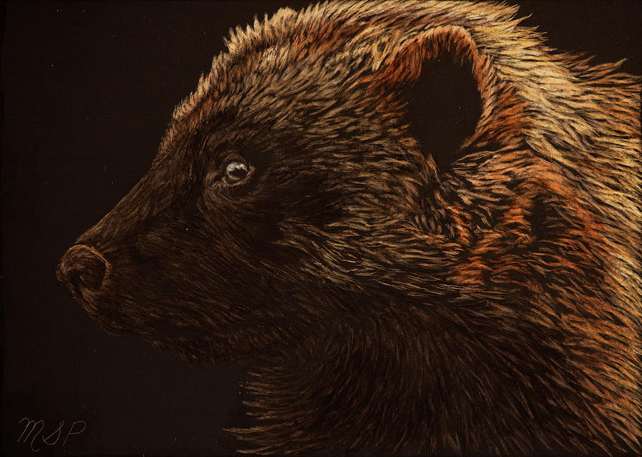 Wolverine Painting by Margaret Sarah Pardy