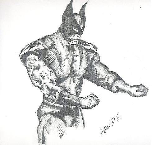 Comic Books Drawing - Wolverine by Nathan Denham II