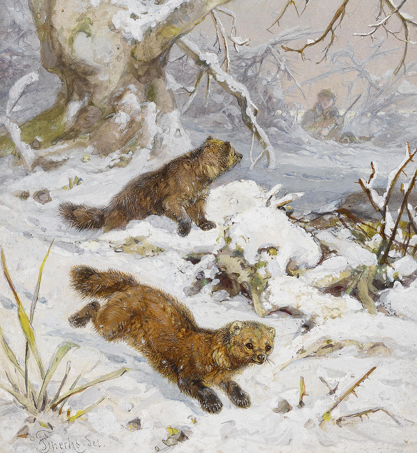 Winter Painting - Wolverines in the Snow by August Specht