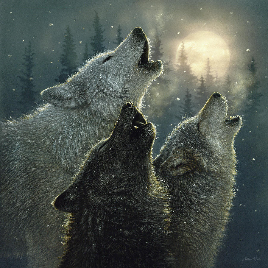 Drawings Of Wolves Howling At The Moon In Pencil - Hachiman Wallpaper