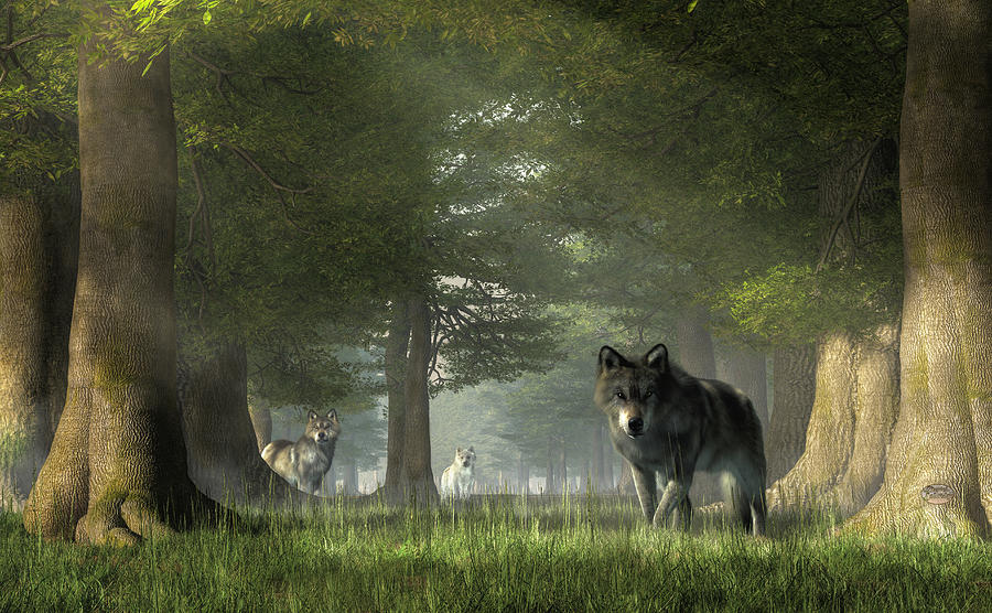 Wolves Digital Art - Wolves in the Forest by Daniel Eskridge