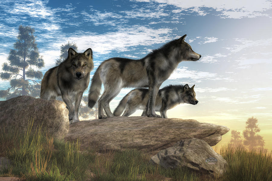 Wolves Digital Art - Wolves on the Hunt by Daniel Eskridge