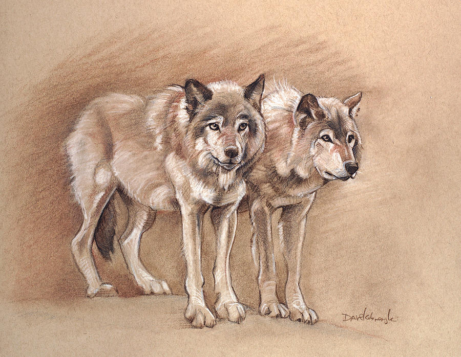 Wolves - Wildlife Drawing Drawing by Dave Kobrenski