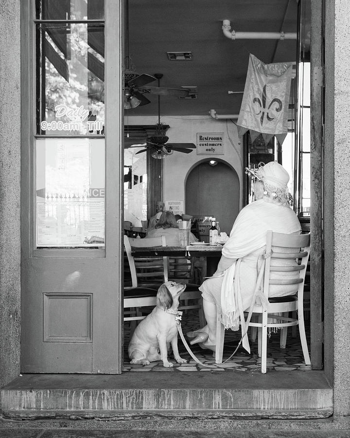 Woman And Dog Photograph