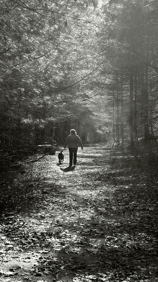 Woman and dog walking Photograph by Steven Kornfeld - Fine Art America